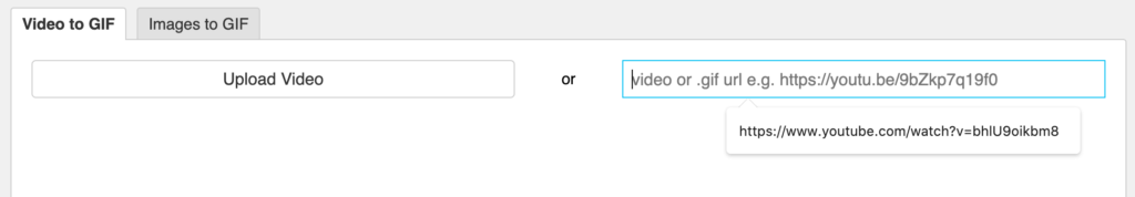 Paste the URL into the convert to GIF tool